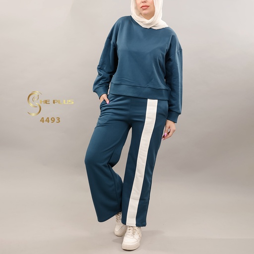 Engy 4493
