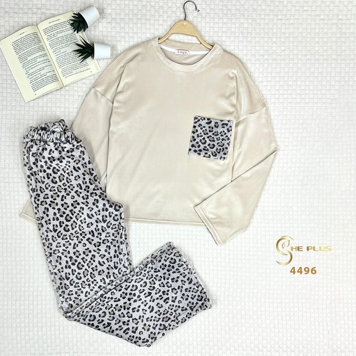 Engy 4496